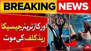 Orcas Trainer Jessica Radcliffe Death | Video Gone Viral | Breaking News