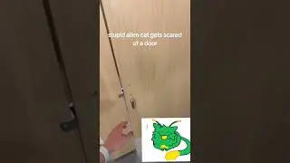 stupid alien cat gets scared of a door. #roblox #memes #funny #gnarpy #gnarpyroblox