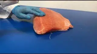 STEEN ST591- Salmon pinbone remover