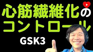 【ベーシック】心筋繊維化とGSK3