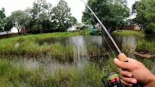 Worm Fishing for Bass IN THE RAIN!
