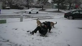 A Record Snow Day in California / We Loved the Snow at our House in 2023.