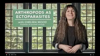 Arthropods as ectoparasites