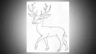 Deer drawing 
