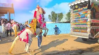 10dj ताबड़तोड़ घोड़ी डांस !! Ghodi Dance 2025 Parfume lagwe Chunni !! पर्फ्यूम लगावे चुन्नी में !dj