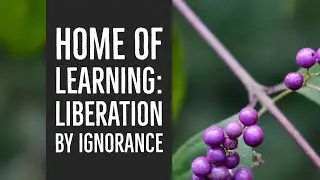 Home of Learning: Liberation by Ignorance | CreativeThreads.net