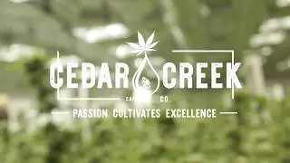 Weed Harvest Timelapse - Cedar Creek Cannabis