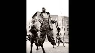 DMX - Get Money Freestyle (Biggie & Lil Kim/Junior M.A.F.I.A. Remix)