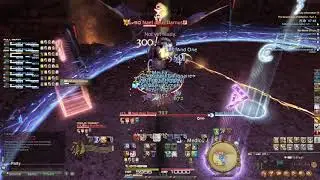 BCoB Turn 9 Min iLvl No Echo! (BRD POV) | Final Fantasy XIV