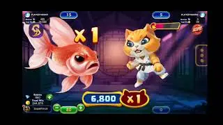 Back to Back Kung fu meow and sharkey shaker // Golden Dragon Gameplay // King Arcade Player