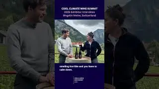 Meet Swiss winemaking excellence with Wegelin Weine from Graub&uuml;nden.
