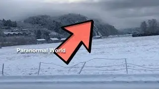 Giant Unknown Monster Caught on Camera