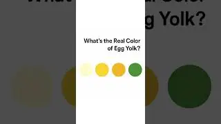 WHAT'S THE REAL COLOR OF EGG YOLK? #trivia #game #challenge #egg  #real #fun #viral #fypシ