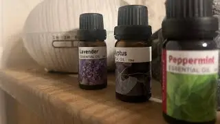 Experimental asmr 3