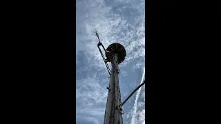 Northwestern Federal 3T22A Short Alert | Fillmore, NY #tornadosiren #firesiren