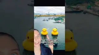 Rubber Duck Controversy #artnews #publicart