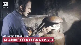 Alambicco a legna (1973) | Agricoltura, caccia e pesca | RSI ARCHIVI