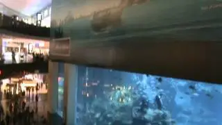 Dubai3 - Cvetelina2011.MPG