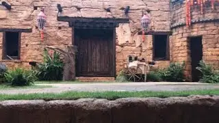 The Up Bird Show at Animal Kingdom