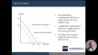 Chapter 5   Labour Demand Part II
