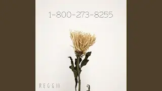 1-800-273-8255