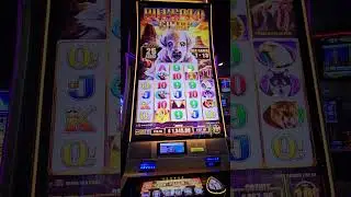 Buffalo Chief at Circus Circus Let's get spinning YELDARB SLOTS