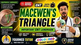 MacEwen&rsquo;s Triangle | Suprameatal Triangle| ENT Lectures | Otorhinolaryngology | Ear Anatomy