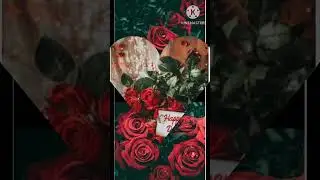 HAPPY ROSE DAY🌹🌹🌹🌹🌹🌹🌹!! #shortvideo #youtubeshorts #roseday