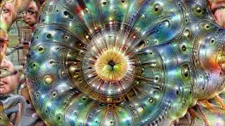 A fractal in the google deep dream