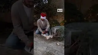 David Beckham en mode Clark Griswold pour pr&eacute;parer le Sapin de No&euml;l #xmas #beckham