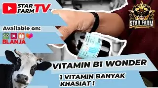 Vitamin B1 Wonder - STAR FARM STORE