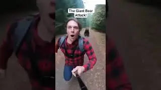The Giant Bear Attack!#BearAttack #ForestVlog #RunForYourLife #WildEncounter #SurvivalVlog