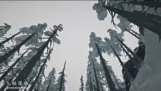 Community challenge: Wolf Wrangler Misery Mode Pt 1