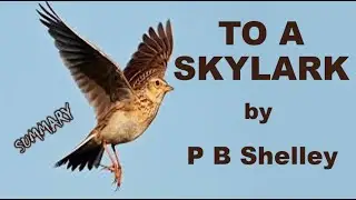 To a Skylark by P  B  Shelley / Summary