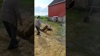 unloading a wagon of straw