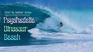 Psychedelic Dinosaur Beach