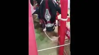Huge Giant Beauty surmawala cattle farm 2018