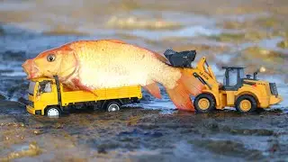 fish loading truck cartoon video | Truck & jcb cartoon video | Afa toys 28