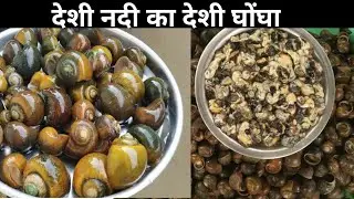 How to Make Snail Meat // Ghongha Ka Meet #meet #ghongha #nadi #video #videos