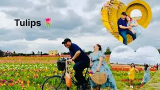 Tulip Festival 2025 || Stunning Spring Flowers 🌹🌷In UK ||