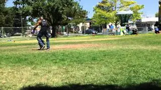 Disc Dogs of the Golden Gate at Sac Banana Fest - 4