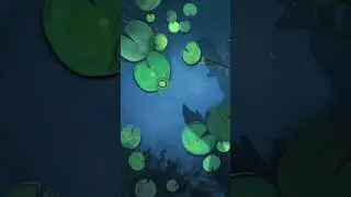 To be a kappa in a pond #indieanimation #2danimation #relaxing #animation #studioghibli