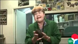 STORYCAM: Meet the Ontario Science Centre volunteers