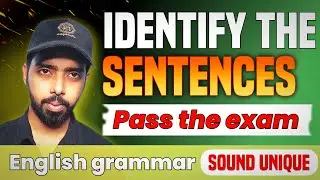 Several types of sentences in English grammar, you need to know