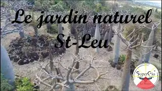 Le Jardin Naturel des Colima&ccedil;ons