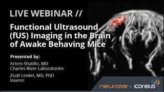 Functional Ultrasound (fUS) Imaging in the Brain of Awake Behaving Mice - June 30, 2020 (webinar)