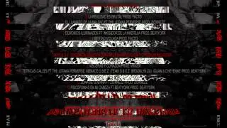 Lenguarmada - La realidad es brutal (prod by Facto)