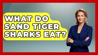What Do Sand Tiger Sharks Eat? - The Marine Life Explorer