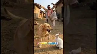 aise funky dance dekha hai kabhi #funny #animals #pets  #funky