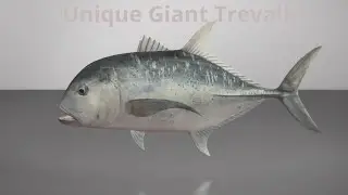 Fishing Planet unique Giant Trevally (Maldives)